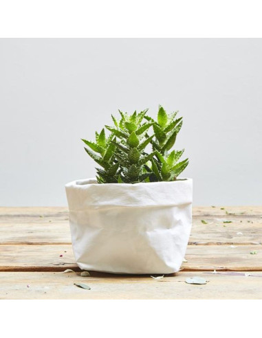 White vegan paper roll - 50 x 100 cm