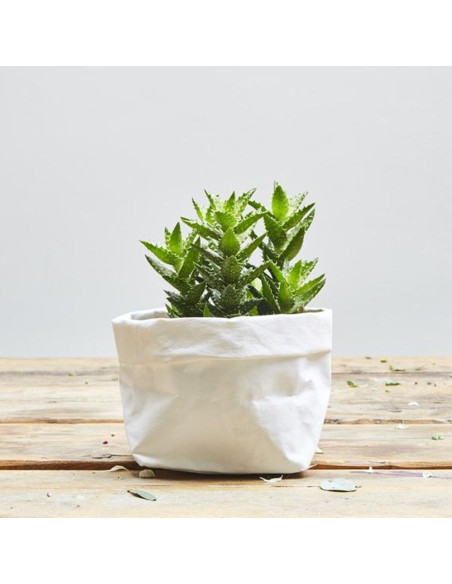 White vegan paper roll - 50 x 100 cm