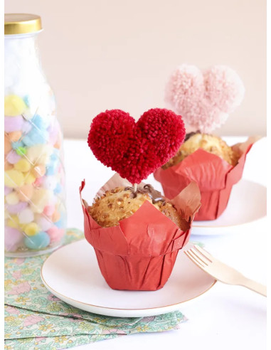 Book: I Discover Pom-Poms