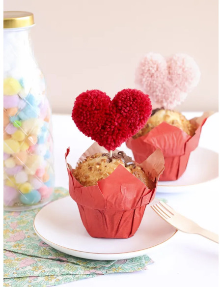 Book: I Discover Pom-Poms