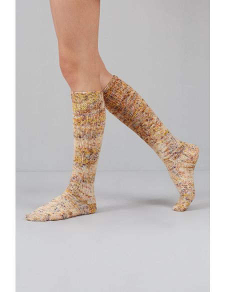 Nokta Gusto Wool sock yarn skein