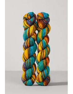 Set of 2 skeins of sock yarn Echoes Fingering Gusto Wool