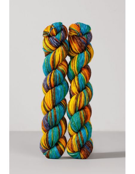 Set of 2 skeins of sock yarn Echoes Fingering Gusto Wool