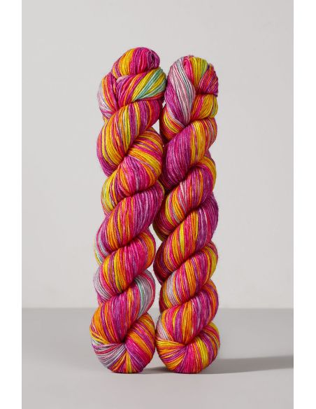 Set of 2 skeins of sock yarn Echoes Fingering Gusto Wool