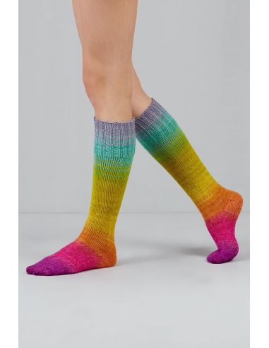 Set de 2 écheveaux de laine à chaussettes Echoes Fingering Gusto Wool