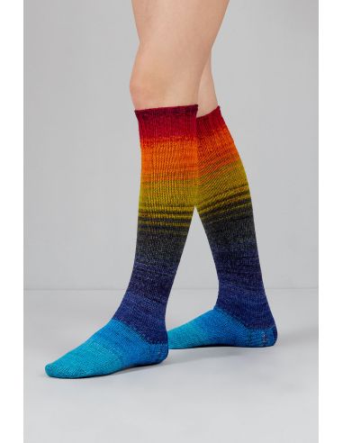 Set de 2 écheveaux de laine à chaussettes Echoes Fingering Gusto Wool