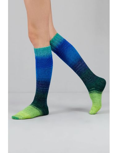 Set de 2 écheveaux de laine à chaussettes Echoes Fingering Gusto Wool