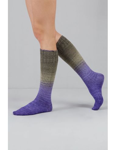 Set de 2 écheveaux de laine à chaussettes Echoes Fingering Gusto Wool