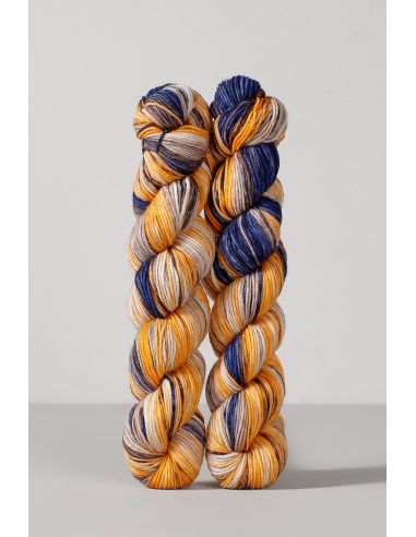 Set de 2 écheveaux de laine à chaussettes Echoes Fingering Gusto Wool