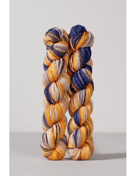Set of 2 skeins of sock yarn Echoes Fingering Gusto Wool