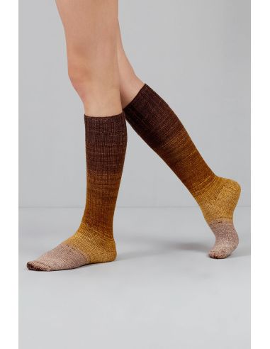 Set de 2 écheveaux de laine à chaussettes Echoes Fingering Gusto Wool