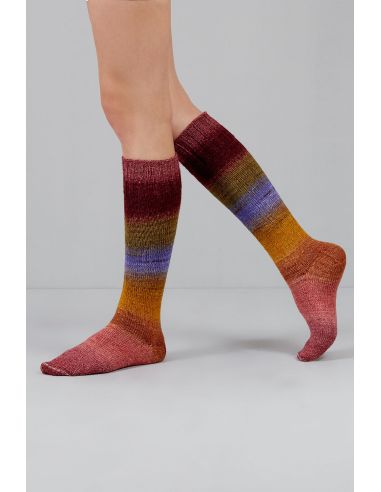 Set de 2 écheveaux de laine à chaussettes Echoes Fingering Gusto Wool