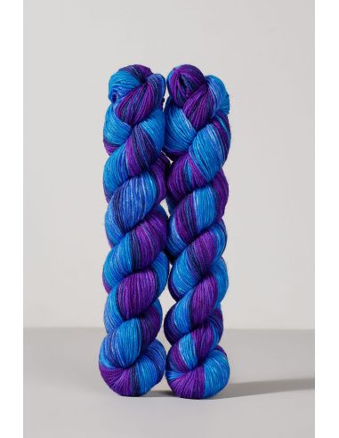 Set de 2 écheveaux de laine à chaussettes Echoes Fingering Gusto Wool