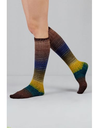 Set de 2 écheveaux de laine à chaussettes Echoes Fingering Gusto Wool