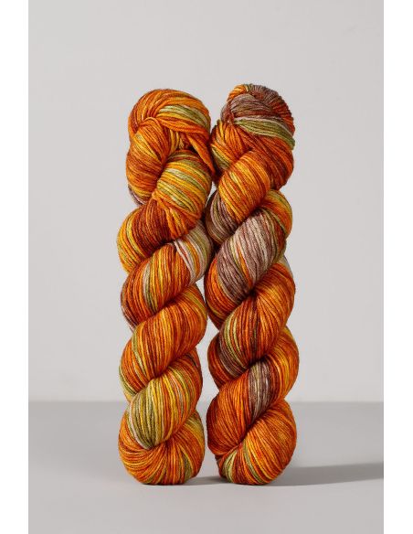 Set of 2 skeins of sock yarn Echoes Fingering Gusto Wool