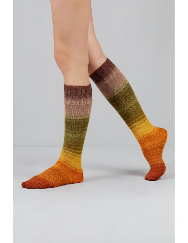 Set de 2 écheveaux de laine à chaussettes Echoes Fingering Gusto Wool