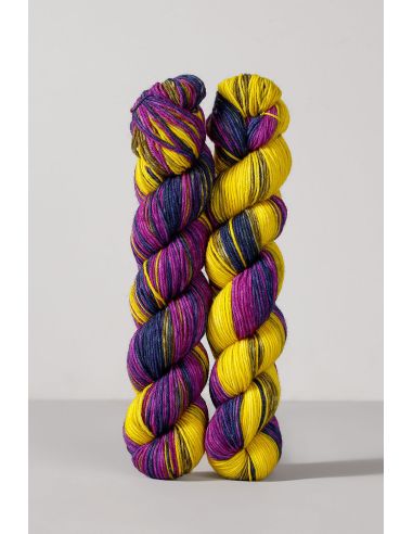 Set de 2 écheveaux de laine à chaussettes Echoes Fingering Gusto Wool