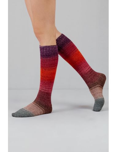 Set de 2 écheveaux de laine à chaussettes Echoes Fingering Gusto Wool