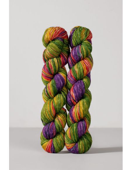Set of 2 skeins of sock yarn Echoes Fingering Gusto Wool