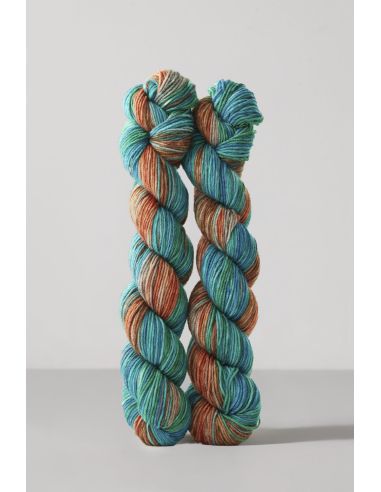 Set de 2 écheveaux de laine à chaussettes Echoes Fingering Gusto Wool