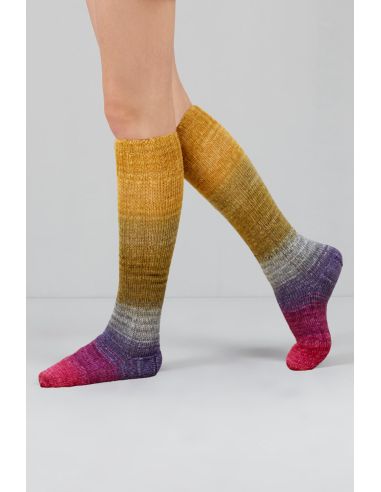 Set de 2 écheveaux de laine à chaussettes Echoes Fingering Gusto Wool