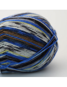 Socks yarn Soqs & More 4-ply Arne & Carlos 2