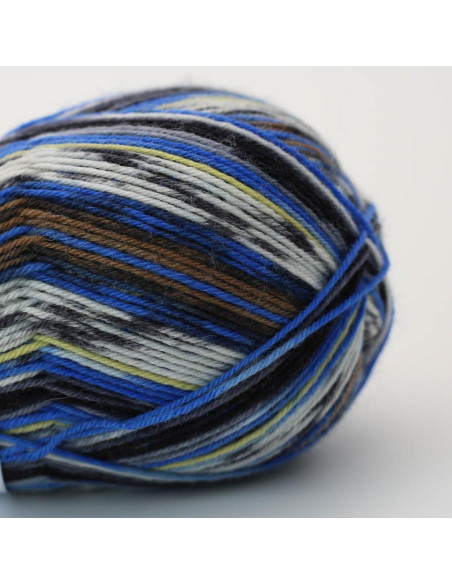 Laine à chaussette Soqs & More 4 fils Arne & Carlos