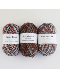 Socks yarn Soqs & More 4-ply Arne & Carlos