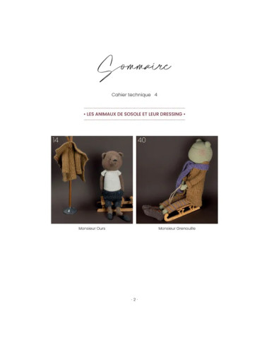 Book: The Animals of Sosole & Their Dressing