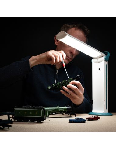 Portable Daylight Twist 2 Go Lamp