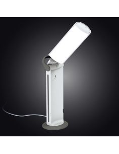 Portable Daylight Twist 2 Lamp