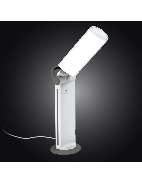 Portable Daylight Twist 2 Lamp