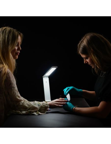 Smart Go Daylight Rechargeable Portable Lamp