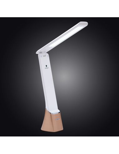 Smart Go Daylight Rechargeable Portable Lamp
