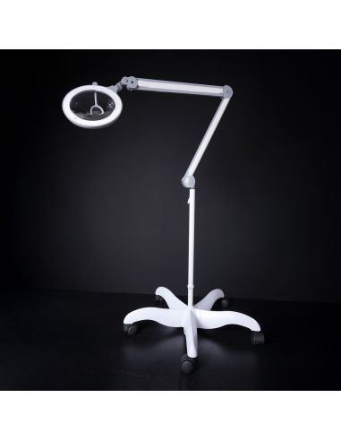 White Prestige Daylight rolling base