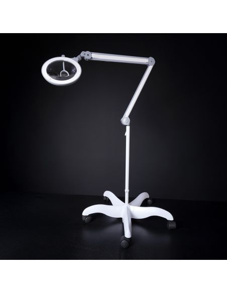 White Prestige Daylight rolling base