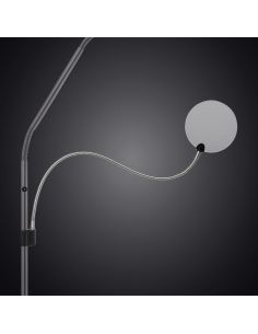 Removable magnifying arm for Daylight lamp