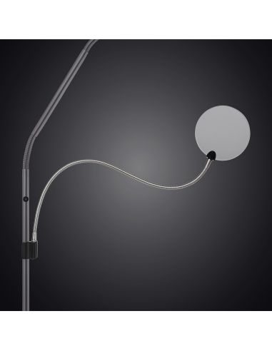Removable magnifying arm for Daylight lamp