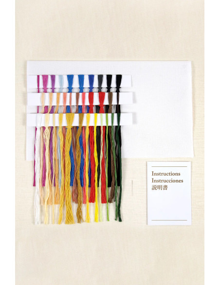 Cross-stitch embroidery kit - The frame