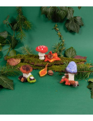 Felting Kit - Mushrooms
