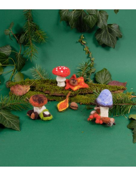 Felting Kit - Mushrooms
