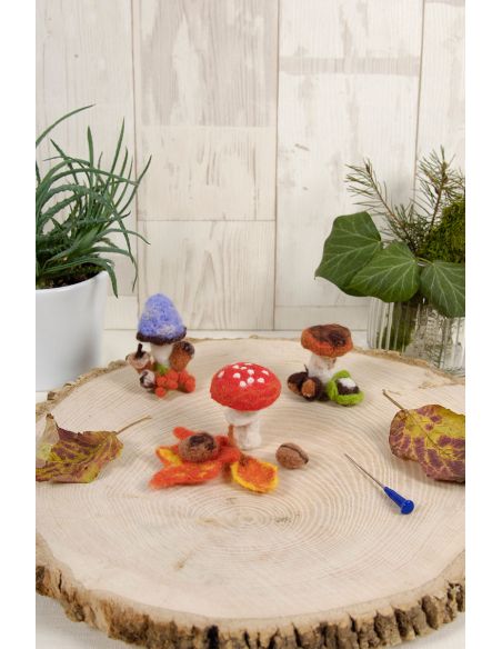 Felting Kit - Mushrooms