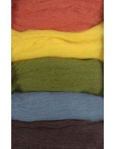 Pack of 5 carded felting wools DMC - Autumn 2