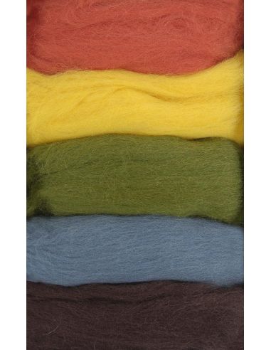Pack of 5 carded felting wools DMC - Autumn