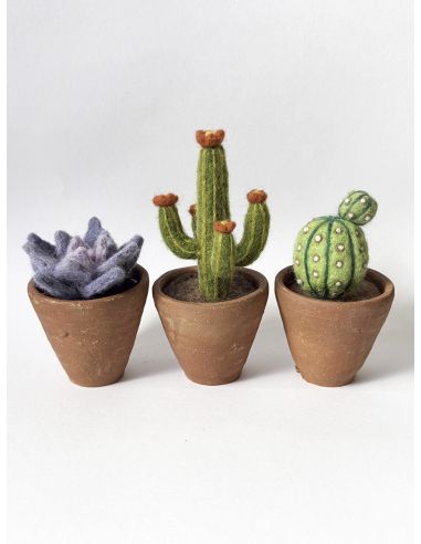 Pack of 5 carded wools for felting DMC - Bouquet