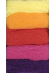 Pack of 5 carded felting wools DMC - Vitamin 2