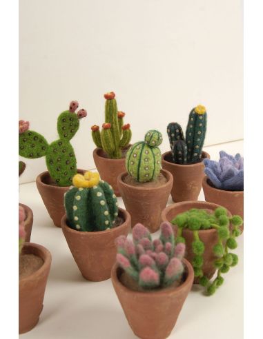 DMC Felting Catalog - Cactus and Succulents