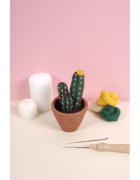 DMC Felting Catalog - Cactus and Succulents