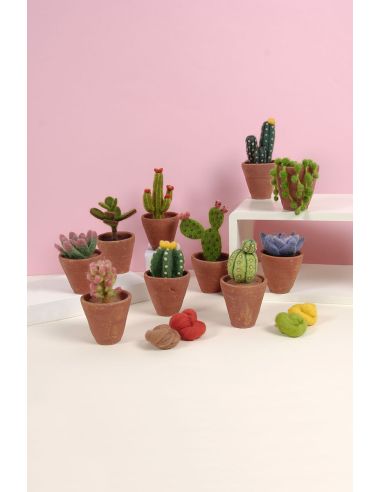 DMC Felting Catalog - Cactus and Succulents