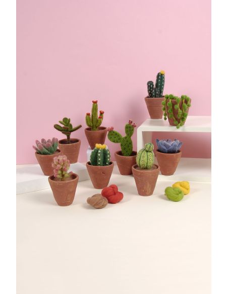 DMC Felting Catalog - Cactus and Succulents